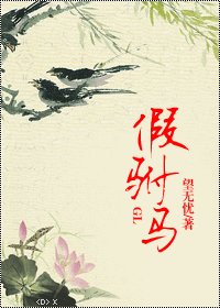 假驸马